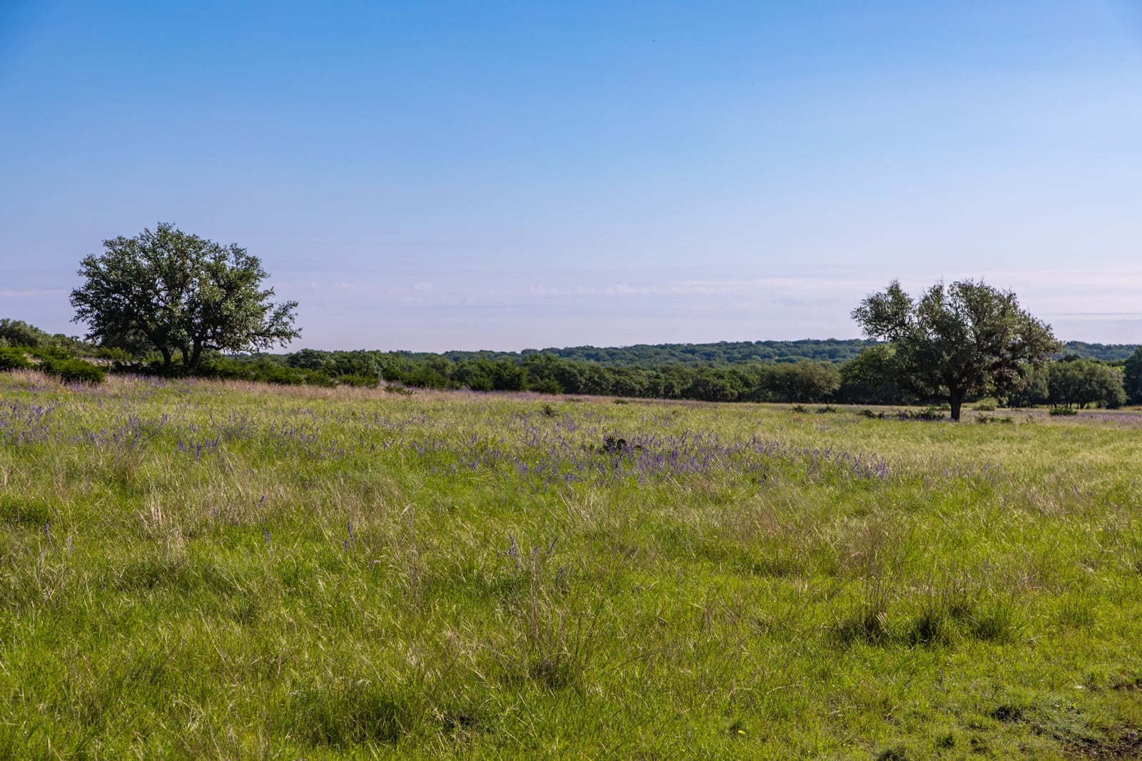 Yo Ranch Texas Property For Sale Yo Ranch Texas Property For Sale