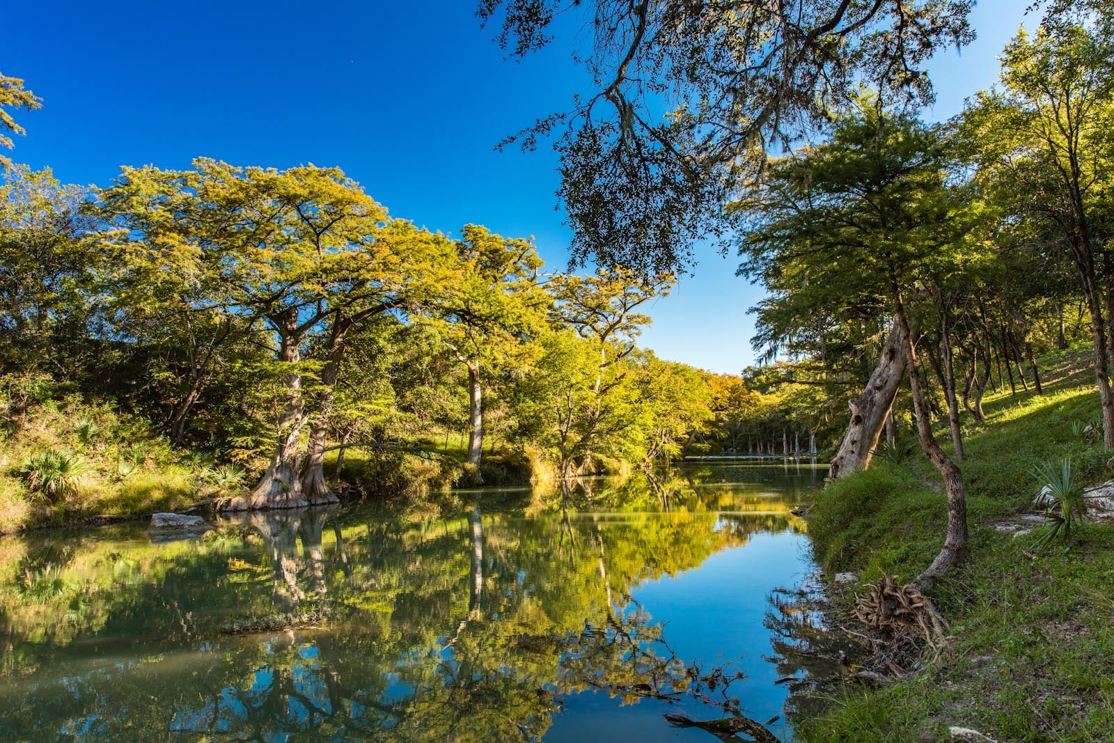 Properties for Sale in Texas Texas Landmen