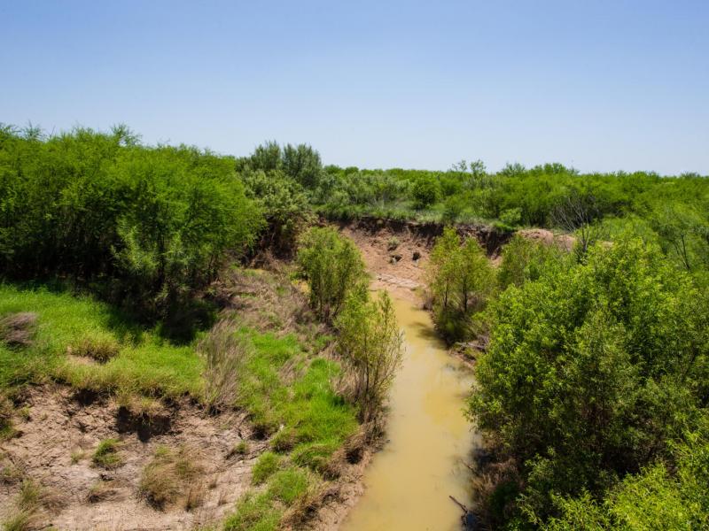 La Salle Co Ranches in Texas