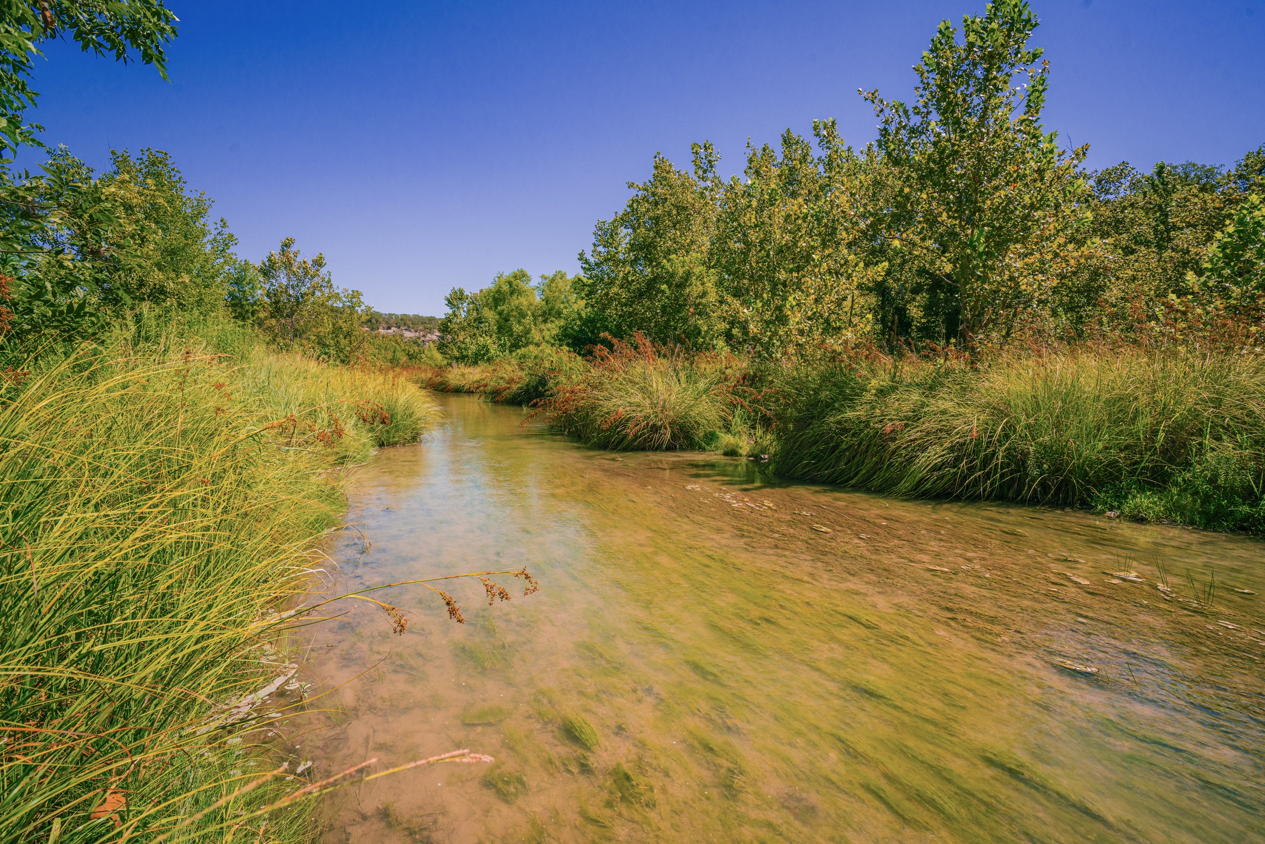 127 ac Whispering Springs Ranch at Pebble Creek Ranches