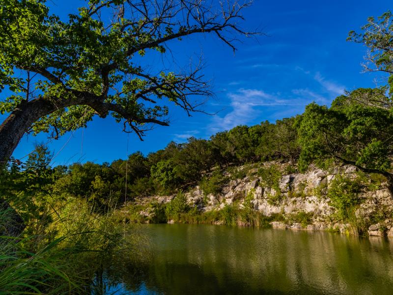 texas ranches for sale 