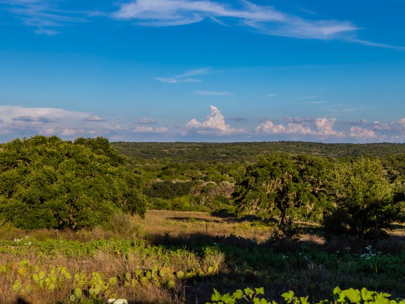 hunting land for sale texas 