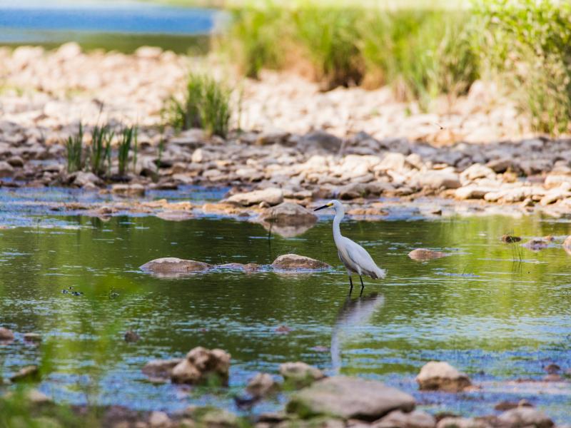 wildlife texas hill country land for sale