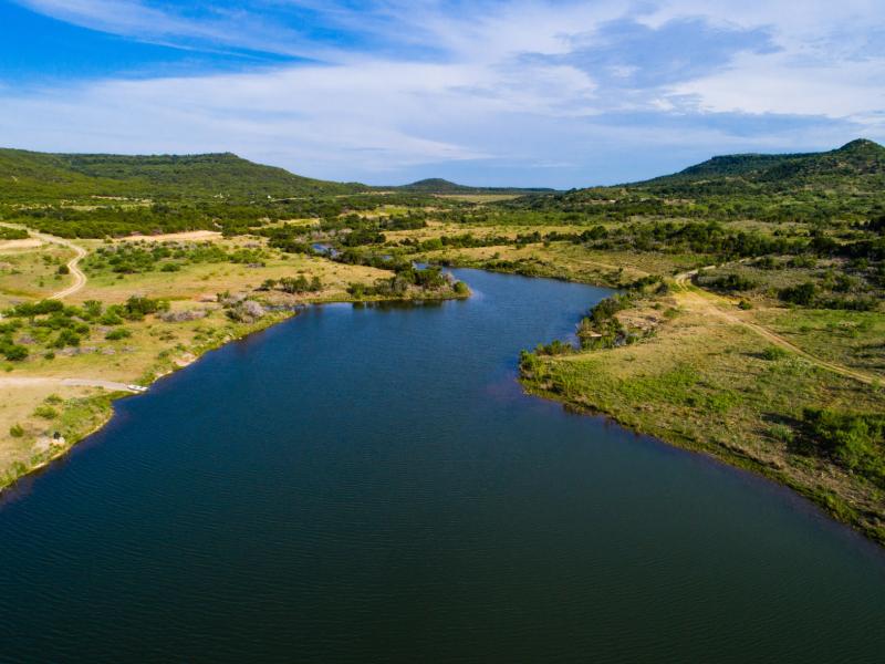 trees texas ranch for sale