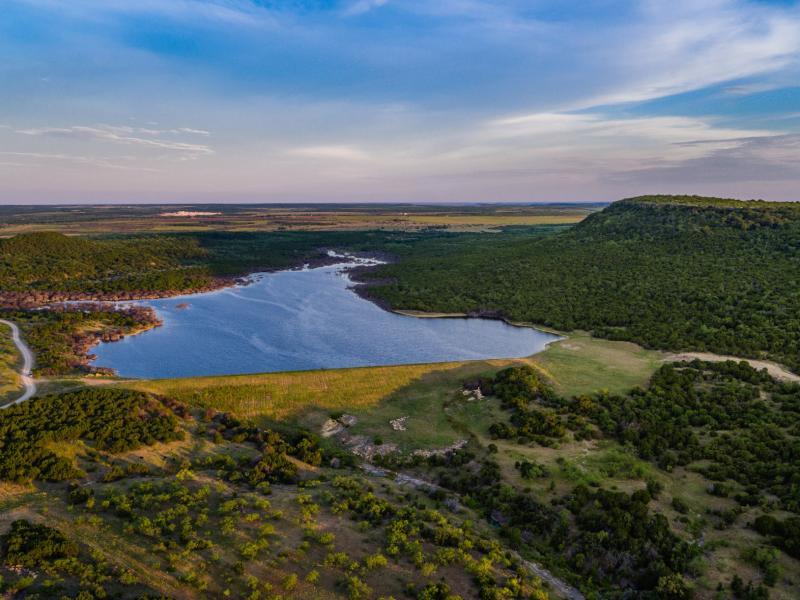 native plants land texas