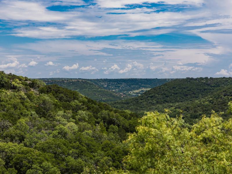 trees land for sale in tx