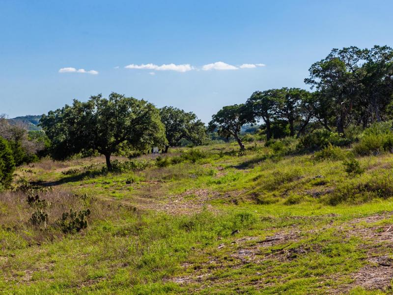 Green pasture with lots of trees on 12 ac Hunt/Texas Riverfront