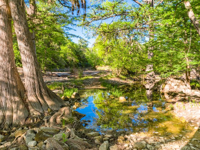 san julian creek with open grassy plain on land in texas.