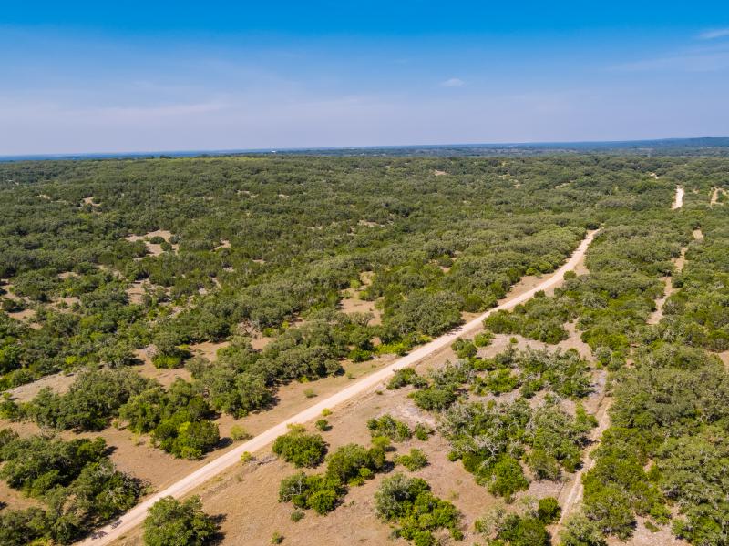 Quihi Draw Ranch offer tree cover for Turkey, Dove, White-tail deer and Feral Hogs