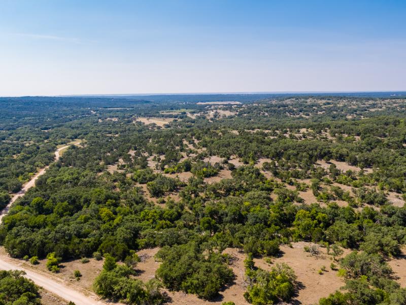 Quihi Draw offers all the flora and fauna characteristic of the Texas Hill Country