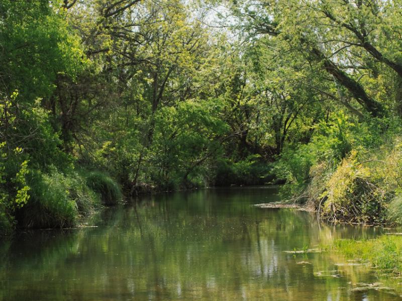 Shadow oak Ranch has the Paluxy river flowing through the center of the ranch