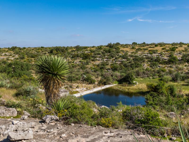 Meyers Springs Hunting Ranch for sale in TX