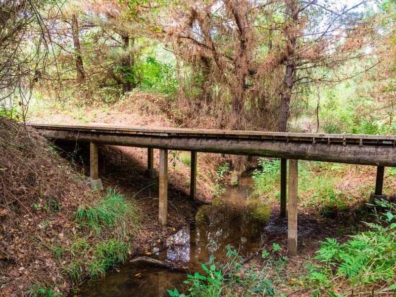Cherokee Ranch has around 4,000 ft of Bowles Creek flowing thru the property for sale in East TX
