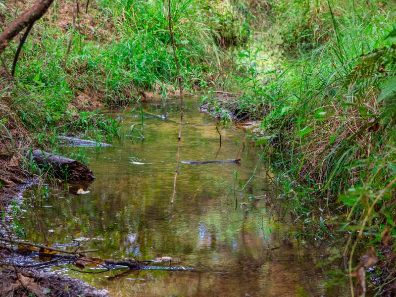 Cherokee Ranch has over 3,600 ft of Mills Creek flowing Thru it.