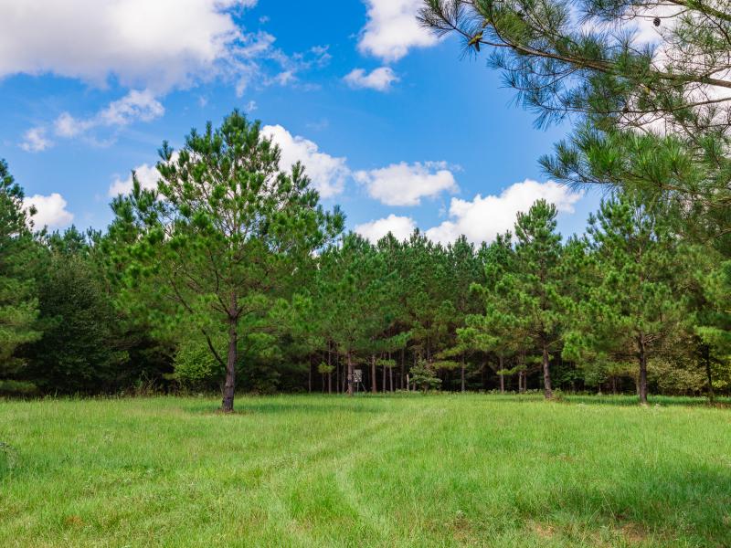 Texas Ranch for sale in Cherokee County