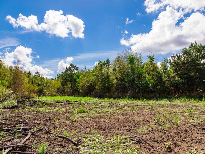 Cherokee ranch provides ample coverage for deer and turkey