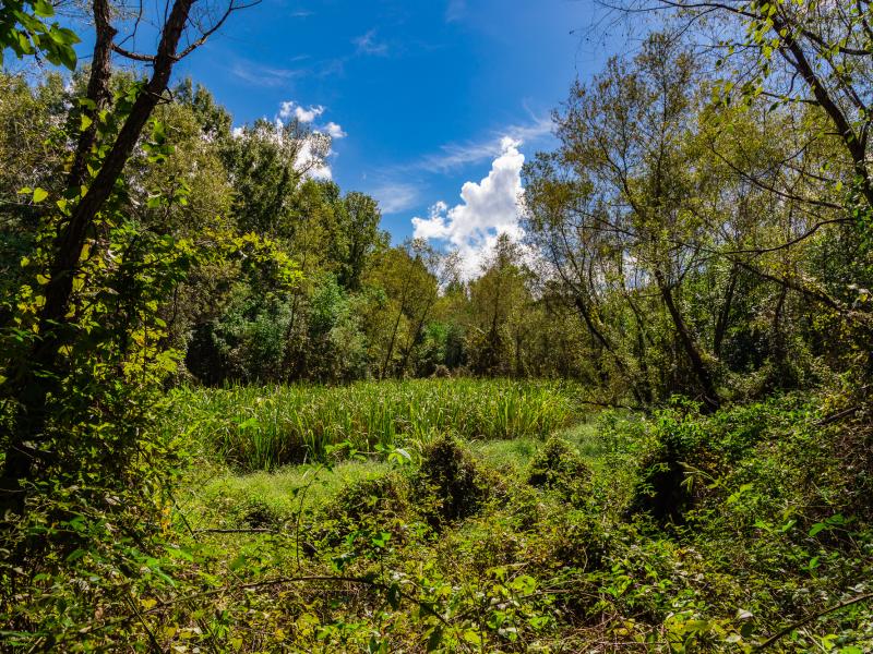 Cherokee Ranch is 180 miles notheast of Houston