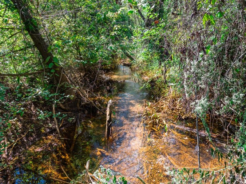 Cherokee Ranch Has Multiple Springs on the Property