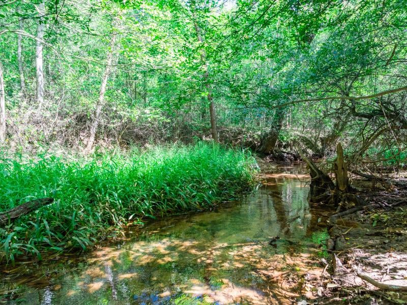 Cherokee Ranch has multiple duck marches and sloughs near the creeks