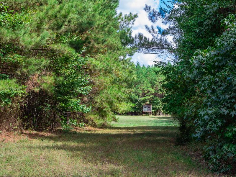 Cherokee Hunting Ranch for sale in Cherokee County