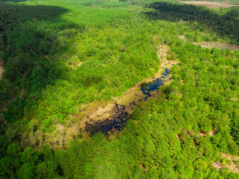 Cherokee Ranch can easily be improved to provide ample winter duck hunting