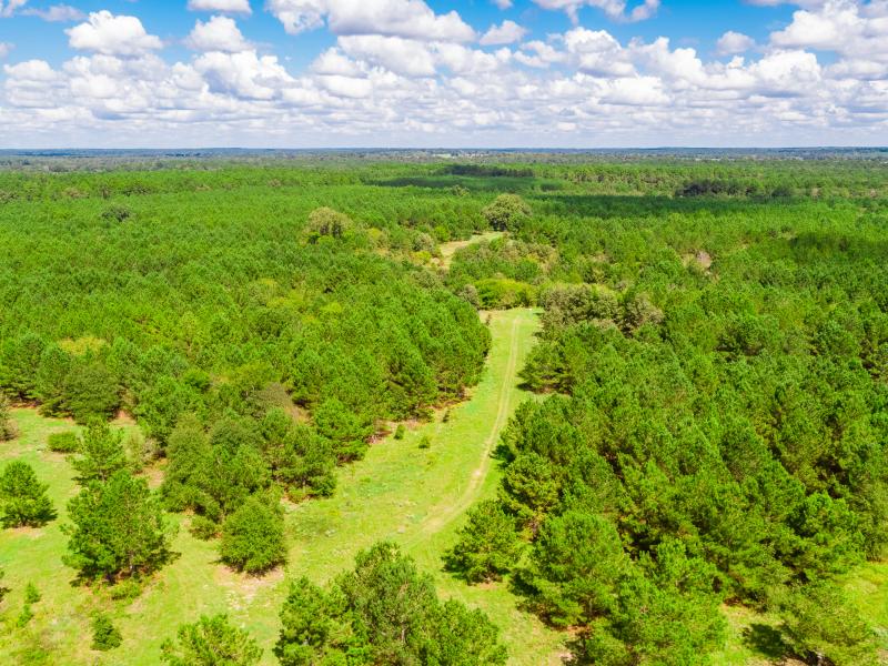 Cherokee is a East Texas Ranch for Sale