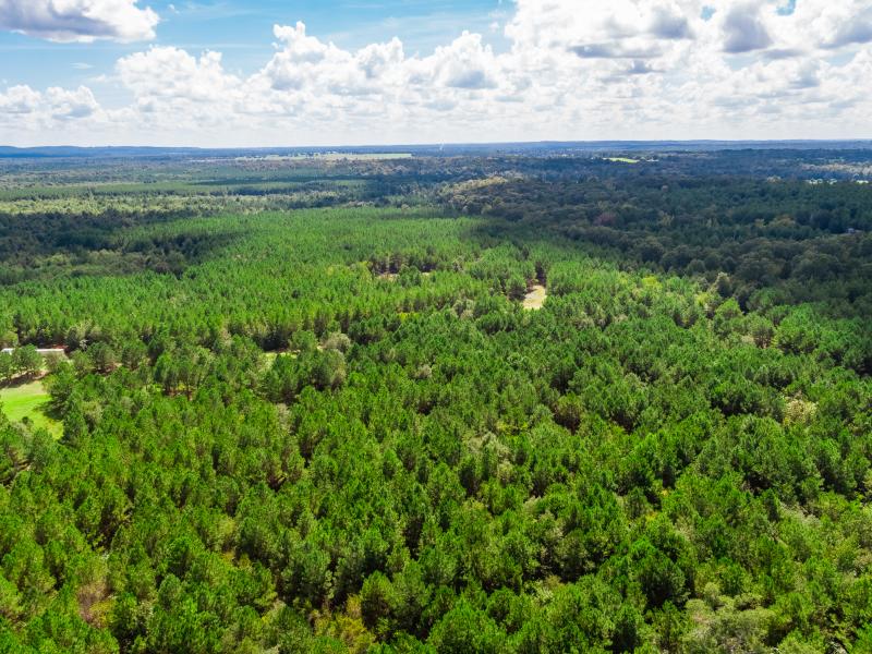 Cherokee recreational ranch for sale in East Texas