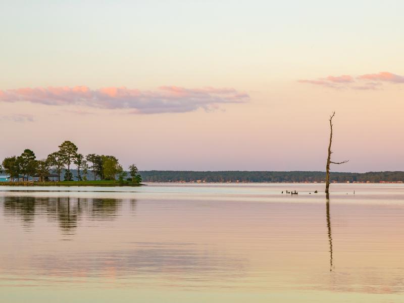 50 ac Lake Palestine duPerier Texas Land Man