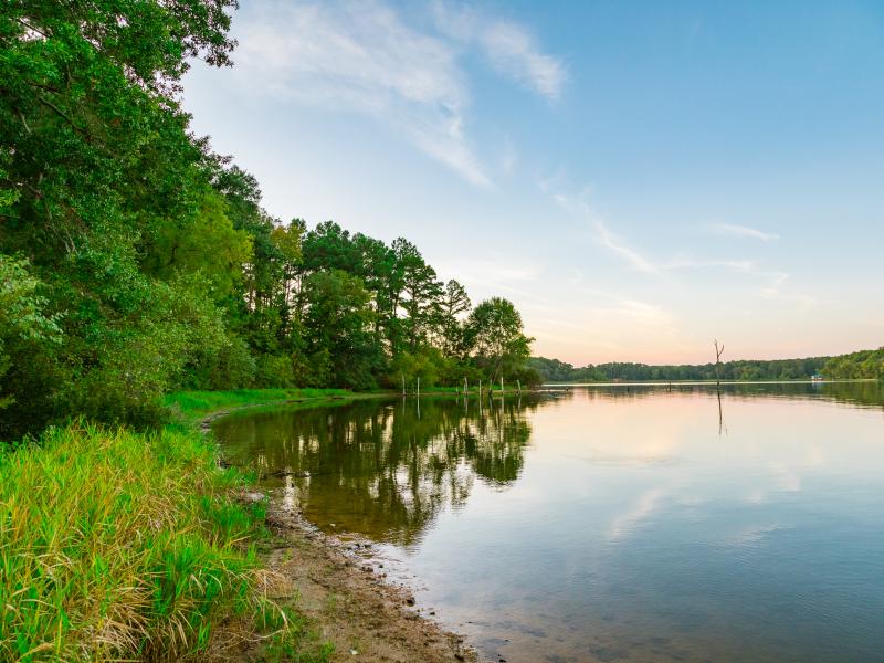 50 ac Lake Palestine duPerier Texas Land Man