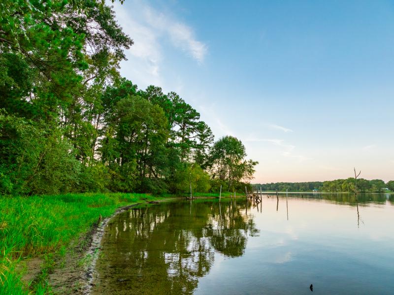 50 ac Lake Palestine duPerier Texas Land Man