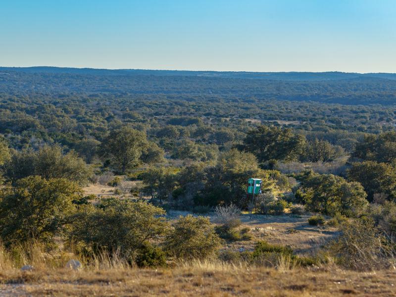 The high fenced M&M Wildlife Ranch for sale in South Texas