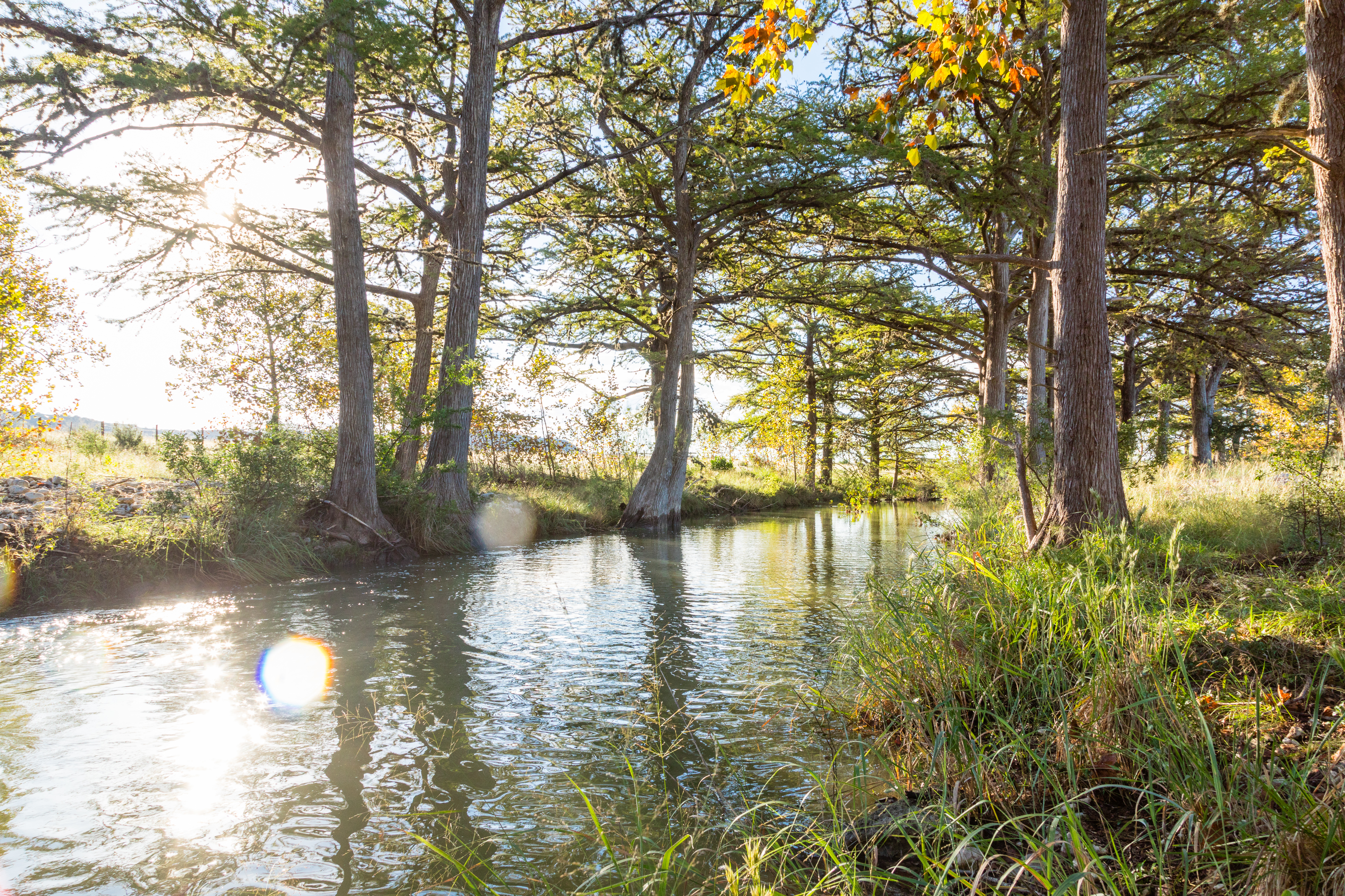Wallace Bluff Ranch Land in Texas for Sale