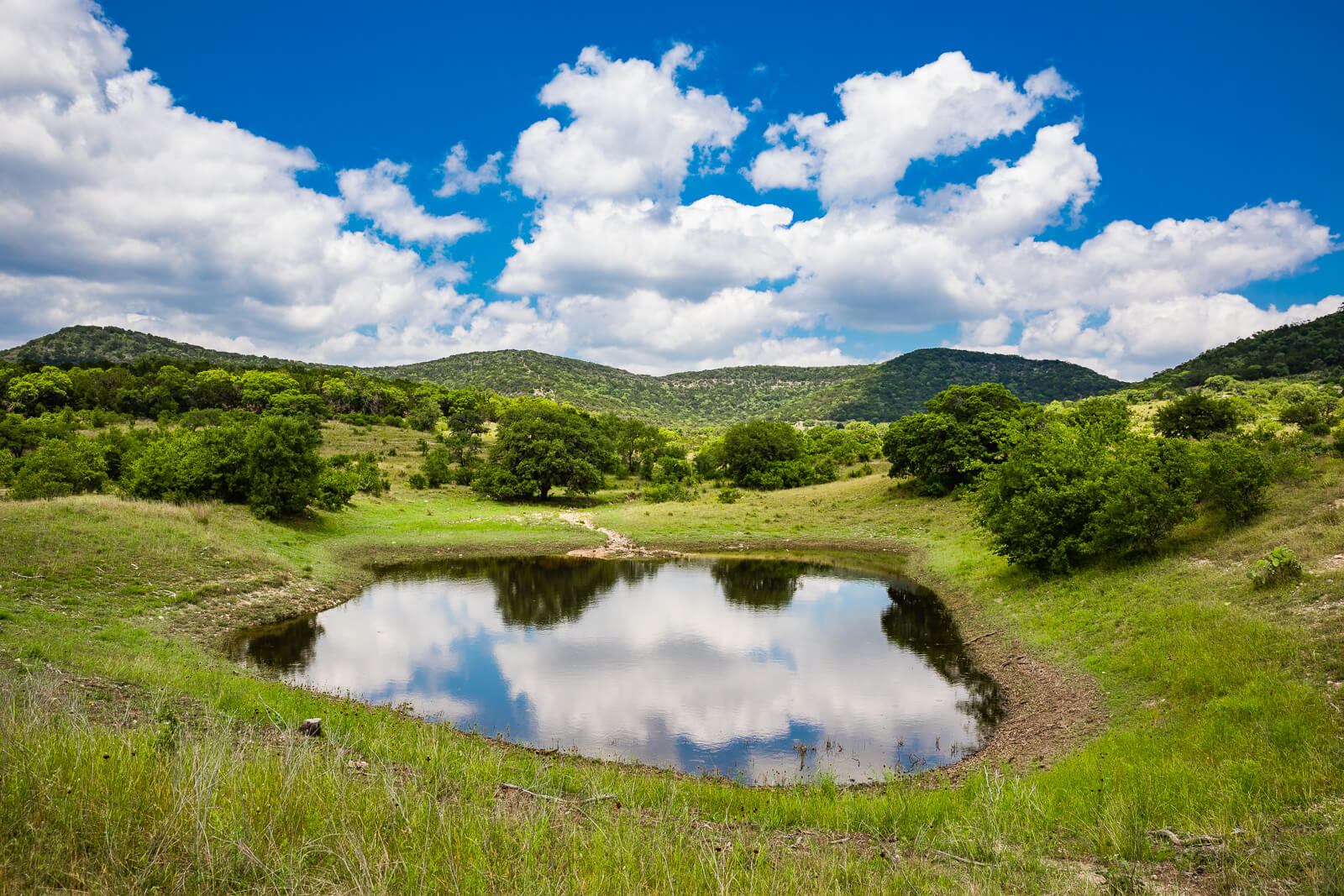 942 Ac Tarpley Ranch for Sale in Texas