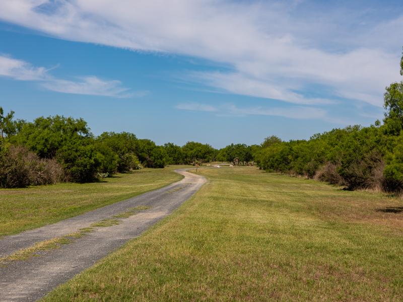 208 ac Encino Ranch duPerier Texas Land Man