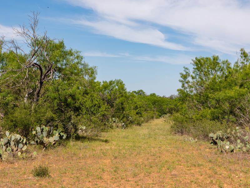 208 ac Encino Ranch duPerier Texas Land Man