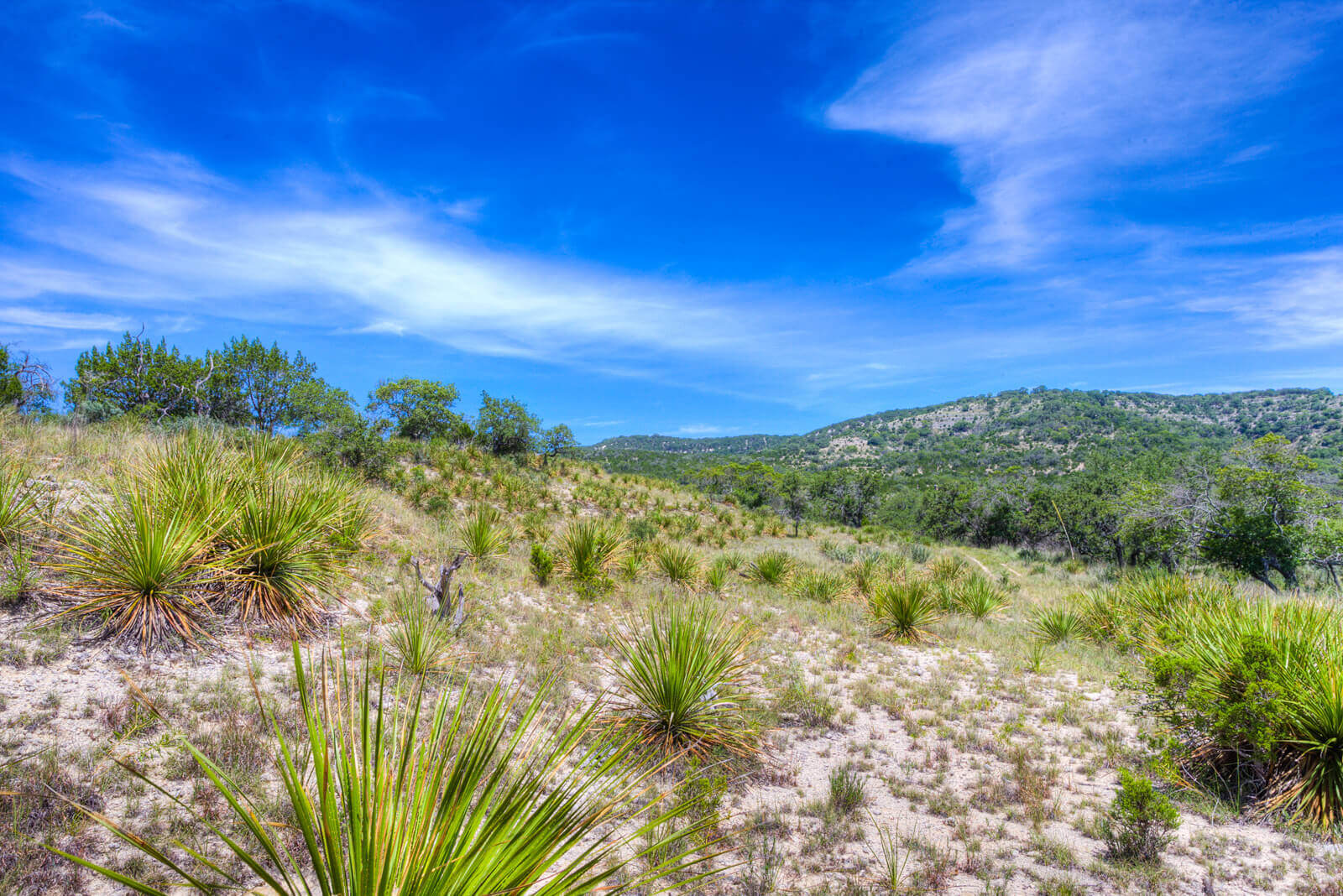 Wallace Bluff Ranch Land in Texas for Sale